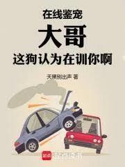 在线鉴宠，大哥这狗认为在训你啊