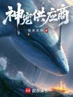 神宠供应商