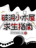 破洞小木屋求生指南