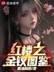 红楼之金钗图鉴