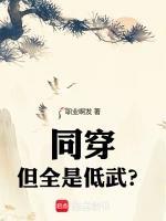 同穿，但全是低武？